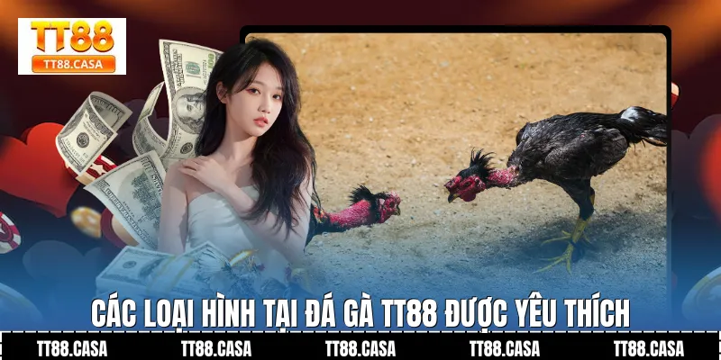 Các loại hình tại Đá Gà TT88 được yêu thích