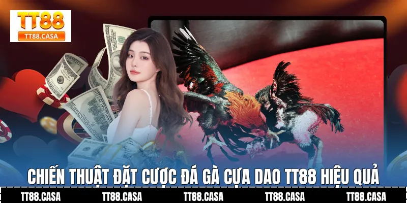 Chiến Thuật Đặt Cược Đá Gà Cựa Dao TT88 Hiệu Quả