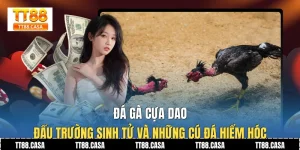 Đá Gà Cựa Dao