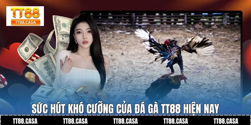 Sức hút khó cưỡng của Đá Gà TT88 hiện nay