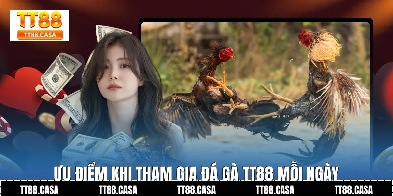 Ưu điểm khi tham gia Đá Gà TT88 mỗi ngày